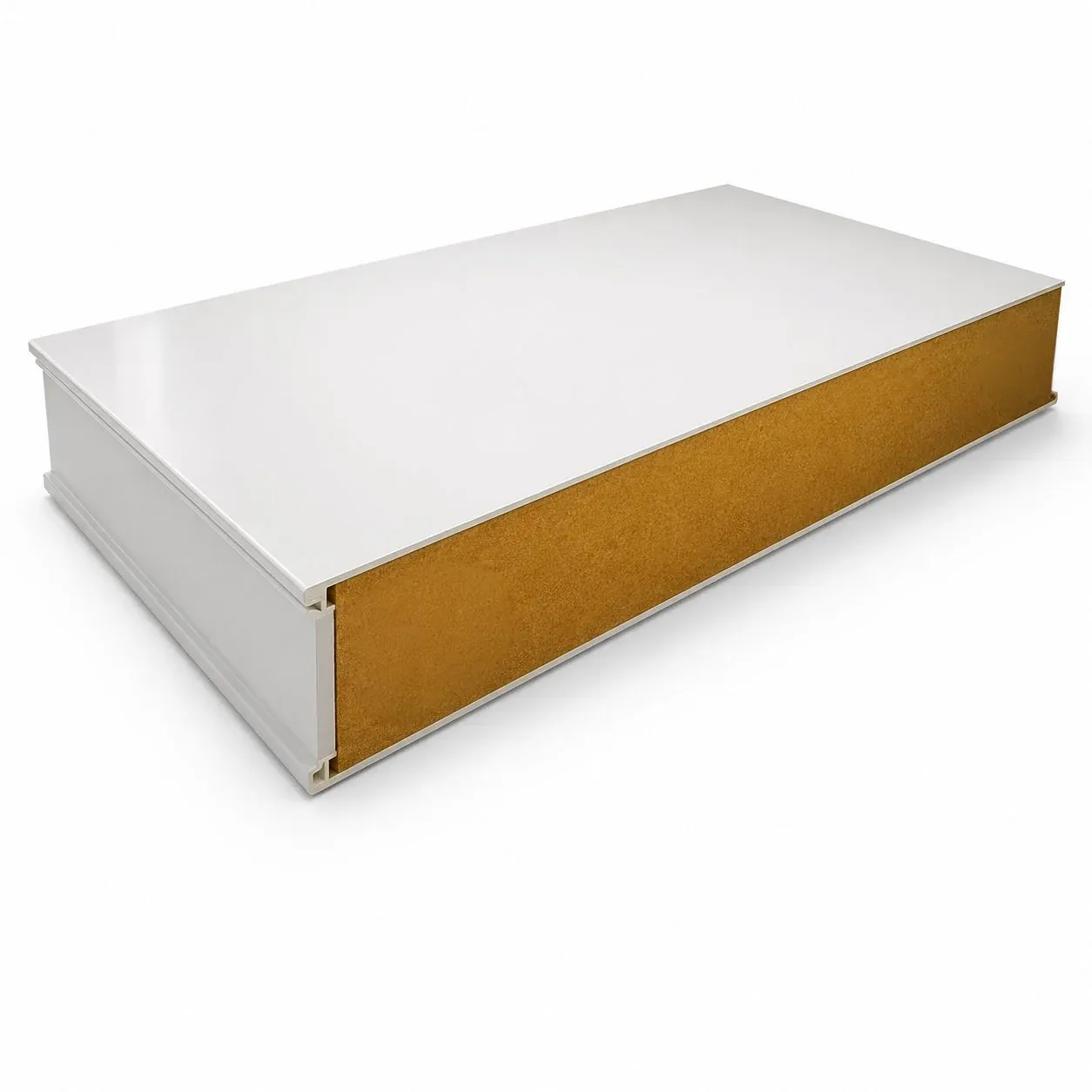 Real Panel PIR cold room sandwich panel with food-grade steel facing for cold storage and freezer rooms