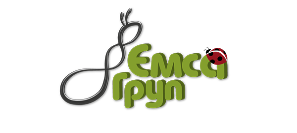 Real Panel Emsa Grup logo