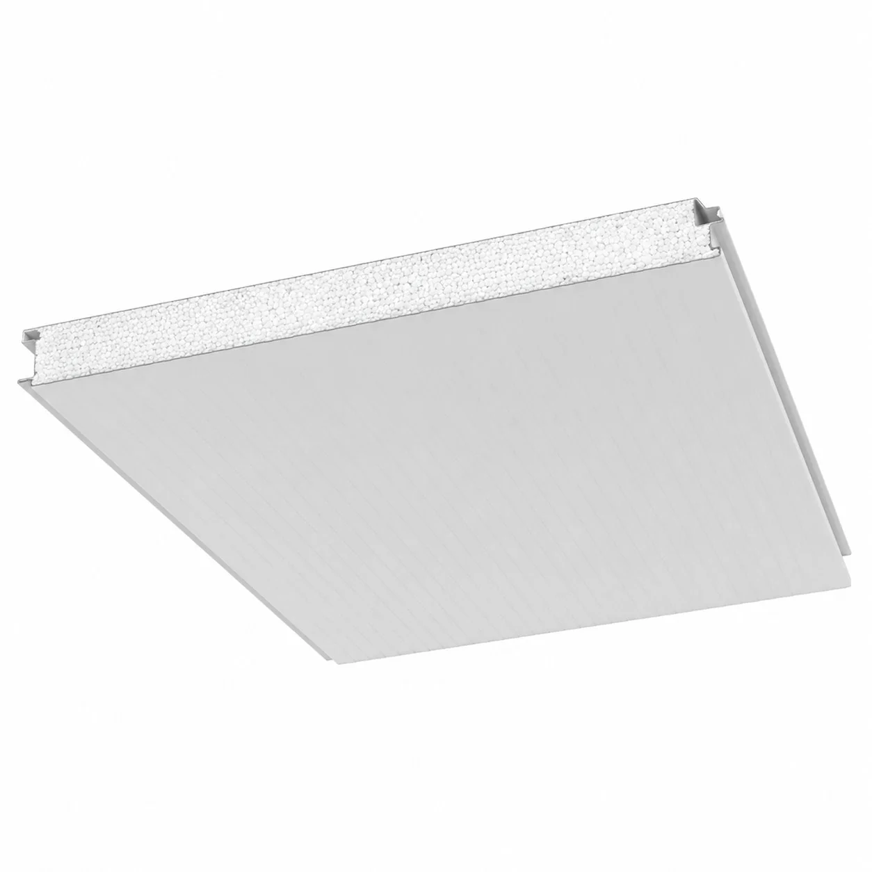 Real panel eps roof panel underside